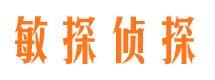 环江市私家侦探